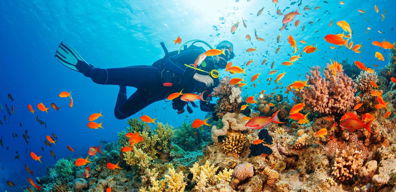 Diving