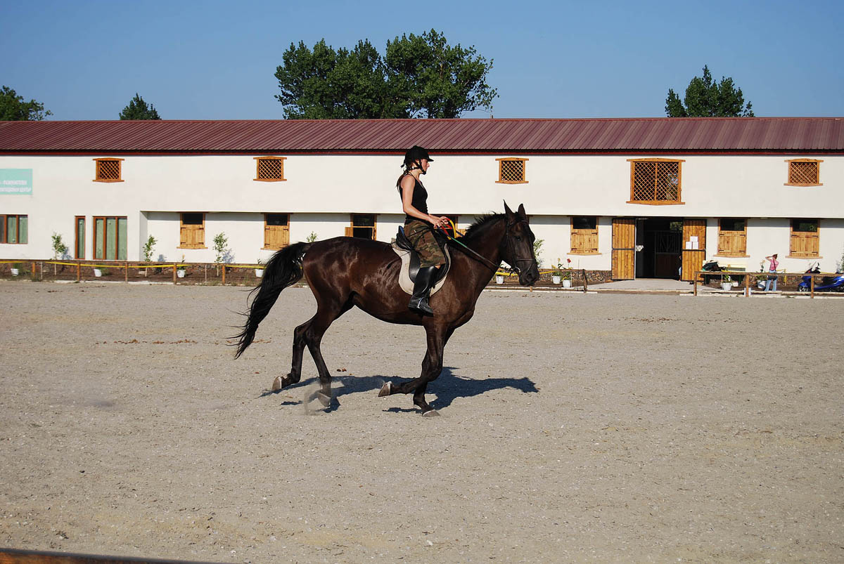 Horse Riding