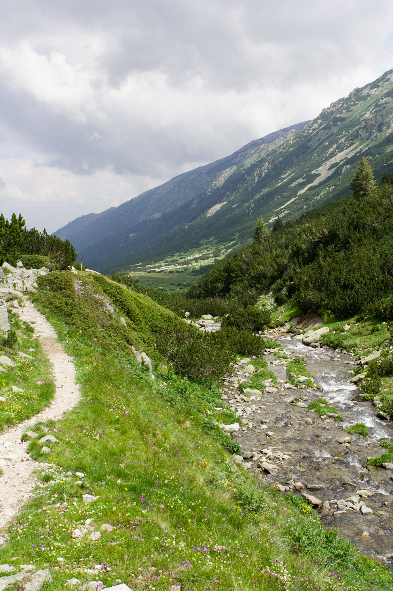 Hiking