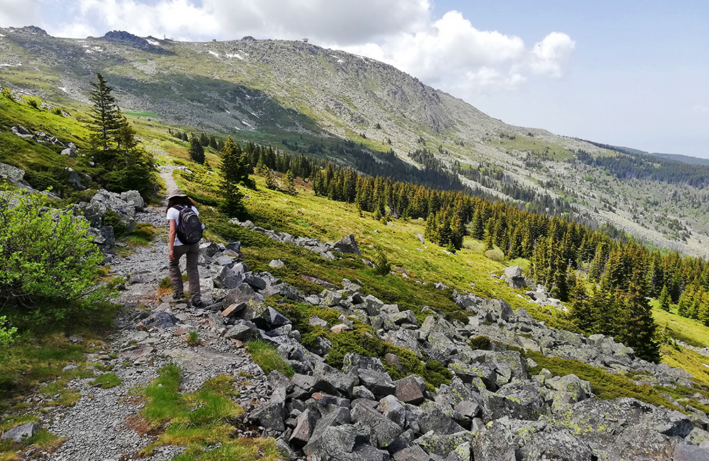 Vitosha National park