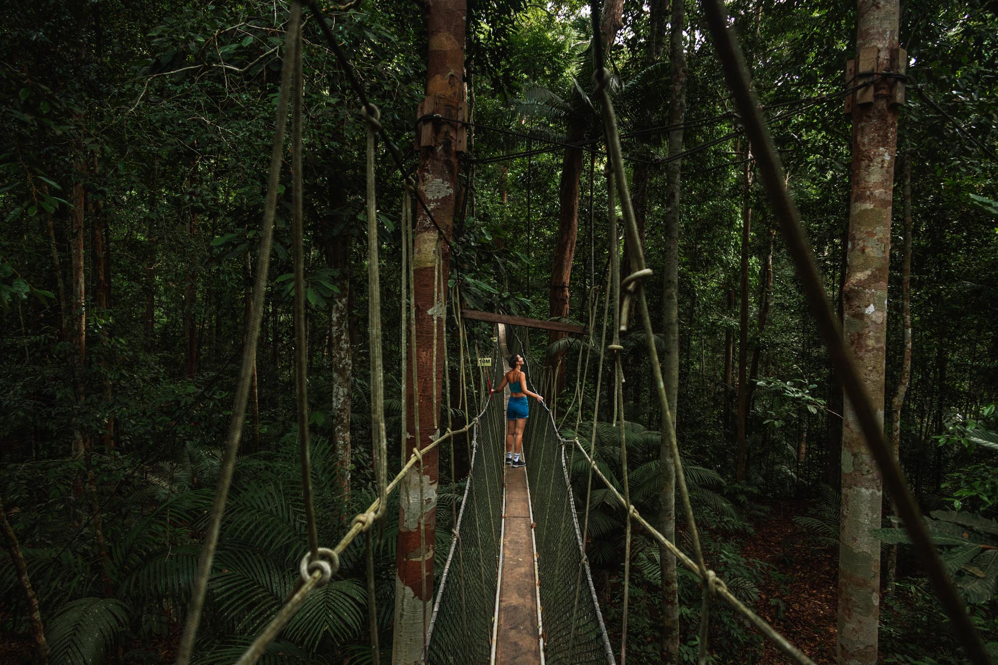 Taman Negara National Park